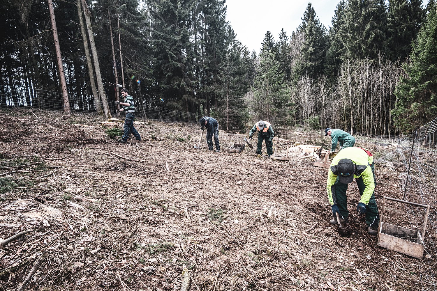 holz_kriwet_der_holzhaendler_muehldorf (11)