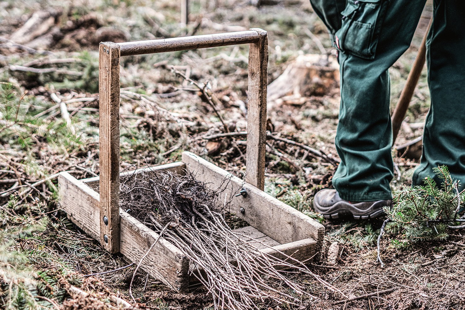 holz_kriwet_der_holzhaendler_muehldorf (8)