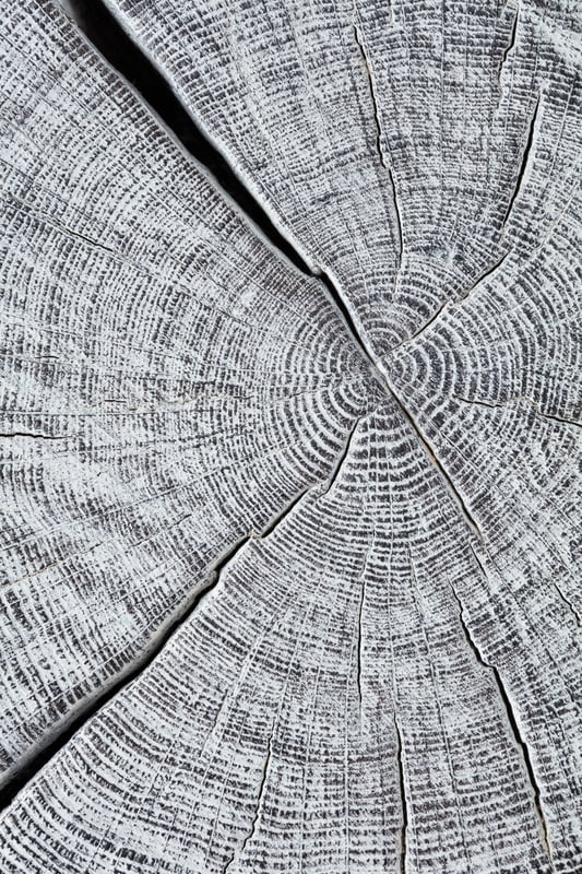 janua_bc05_stomp_couchtisch_indoor_gekoehlt_holz_eiche_ton_silber_e_01