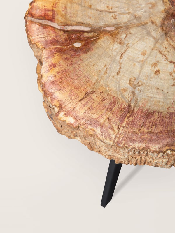 janua_bc05_stomp_couchtisch_indoor_stein_versteinertes_holz_stahl_tiefschwarz_e_02
