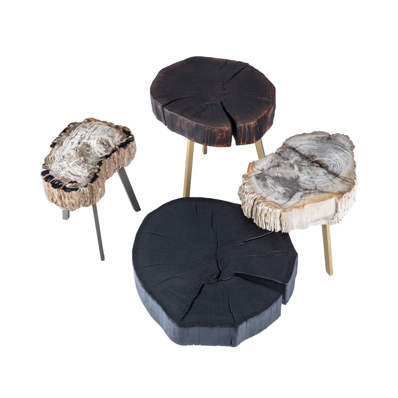 janua_bc05_stomp_couchtisch_indoor_stein_versteinertes_holz_stahl_tiefschwarz_f_07