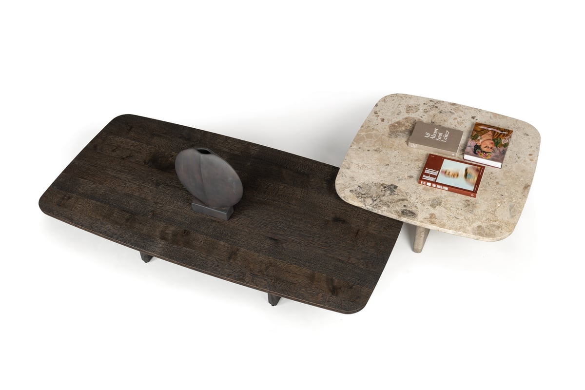 janua_bc20_t-rox_couchtisch_rechteckig_indoor_geraeuchert_holz_eiche_anthrazit_f_04