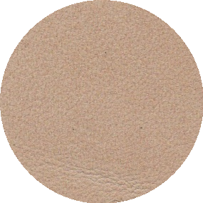 72008 Caramel