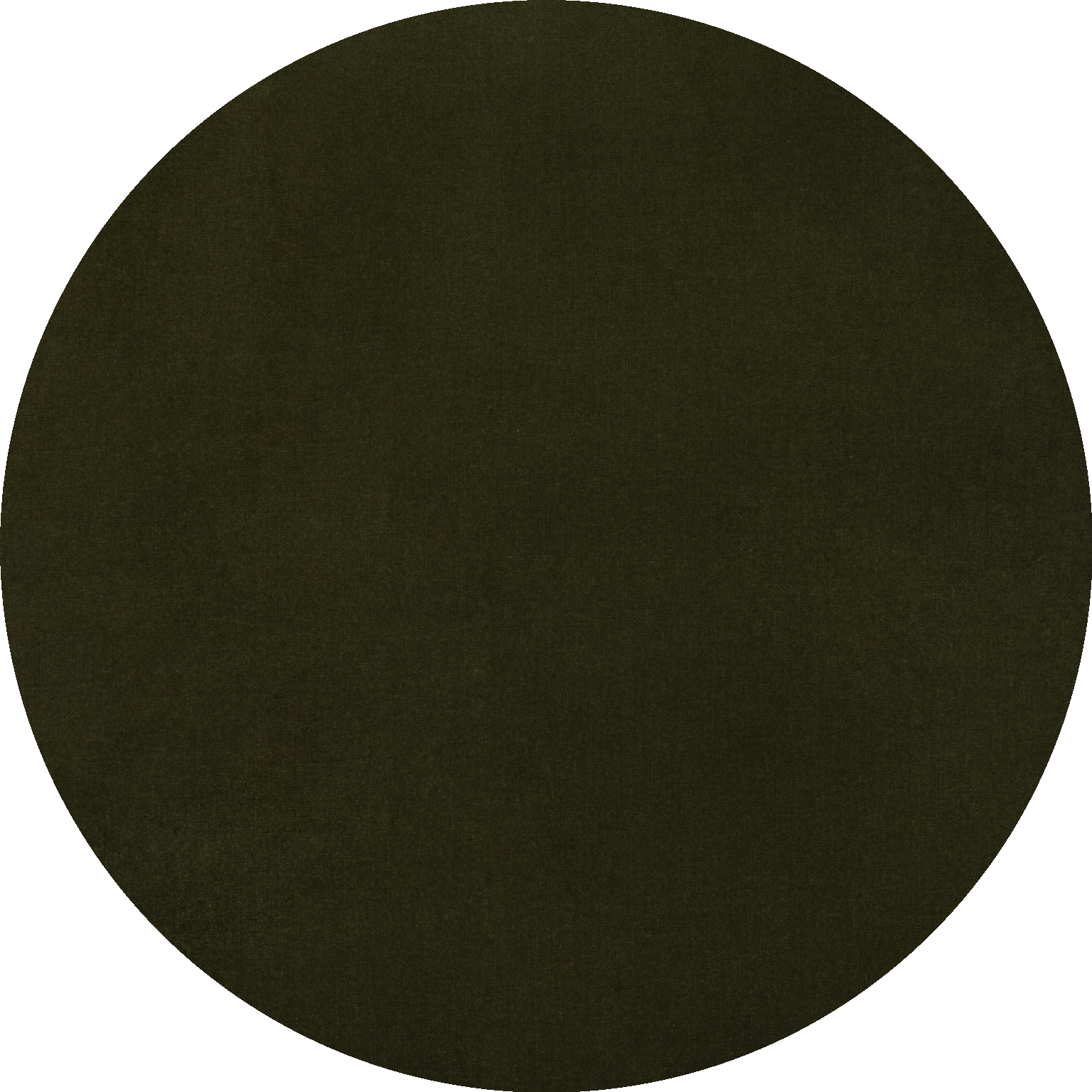 145 Olive