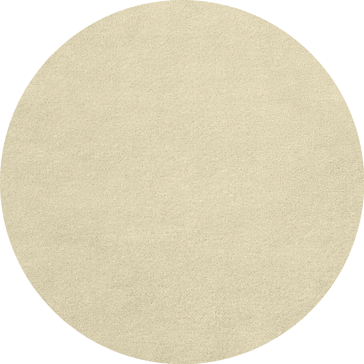 Orso Polare